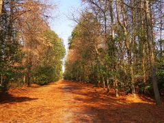 -上海海湾国家森林公园