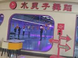 -水灵子·专注成人零基础