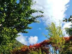 -古尔沟华美达温泉度假酒店