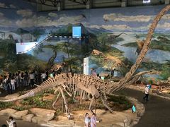 -自贡恐龙博物馆
