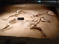 -洛阳周王城天子驾六博物馆