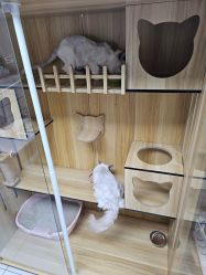 -一个美甲店