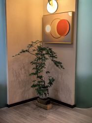 -AIST爱思特医疗美容医院