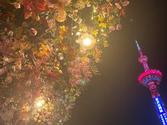 景观位-成都娃娃花园餐厅 (南艺旗舰店)