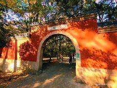 -灵谷景区