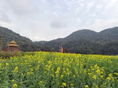 -广州市石门国家森林公园