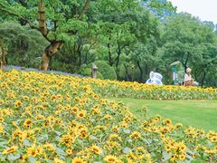 -点都德(广州白云山景区南门店)