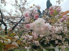 -花溪公园