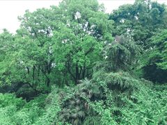 -南山植物园