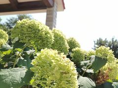 -意大利农场度假村