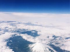 -全日本空输株式会社(上海办事处)