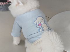 -怪兽屋·羊驼·猫咖·狗咖(俊华广场店)