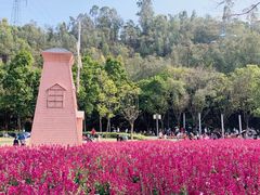 -顺峰山公园