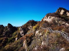 -大岭沟猕猴桃谷风景区