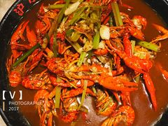 至尊十三香小龙虾-沪小胖小龙虾(淮海中路旗舰店)