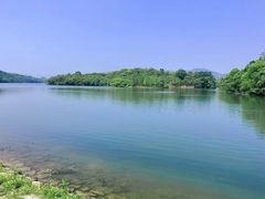 -佛手湖郊野公园