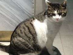 -UNIUNI(凯瑟琳广场店)