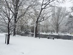 -北海道厅旧本厅舍(旧本庁舎)