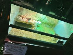 -酷嗒动物文化乐园(cutezoo西溪乐天城店)