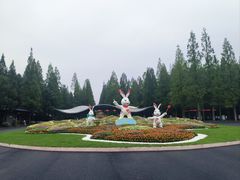 -东平国家森林公园