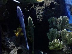 -多彩贵州城极地海洋世界