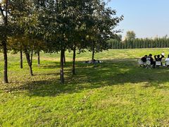 -汉长安城未央宫国家考古遗址公园