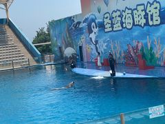 -北戴河圣蓝海洋公园