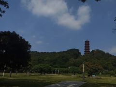 -红花山公园