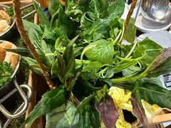 -一朵菌·野生菌探索家火锅(南亚店)
