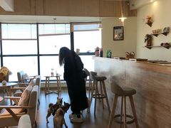 -柴犬小屋·柴餐厅·狗咖食堂(金鼎广场店)