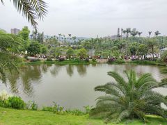 -枫香湖儿童公园