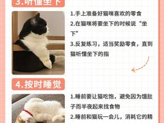 -小猫来了·猫舍(红山六九七九店)