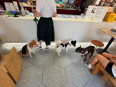 -Dal Cuore 达可芮冰淇淋(陕西北路店)