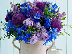 -金陵之星大酒店·中餐厅