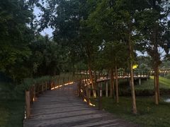 -眉山湿地公园(东坡区)