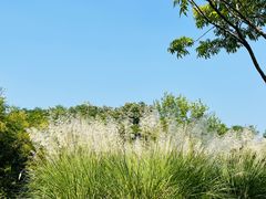 -盘龙城遗址博物院