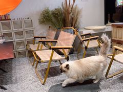 -seeu coffee(江滩店)