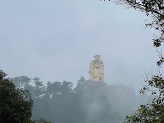 -南山植物园