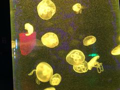 -福州罗源湾海洋世界旅游区