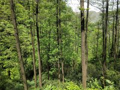 -藏龙百瀑风景区