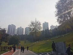 -龙头寺公园