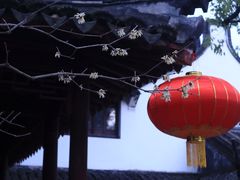 -上海醉白池公园