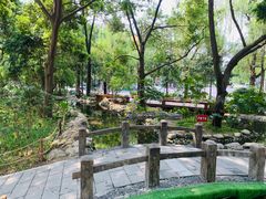 -成都市活水公园