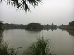 -白鹭湾湿地公园