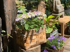 -The Flowers Coffee(南山店)