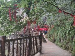 -塔云山