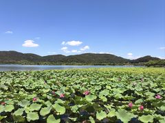 -南北湖风景区