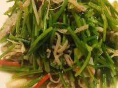 -宏宴·新京菜(望京店)