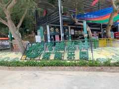 -芦仙山景区-飞越丛林探险乐园