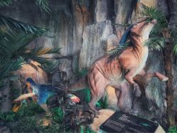 -恐龙探索乐园(磁器口店)